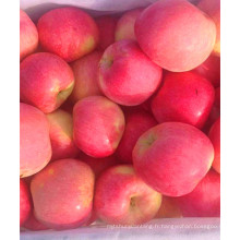 Alibaba produits agricoles biologiques naturels de haute qualité pommes